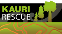 Kauri Rescue